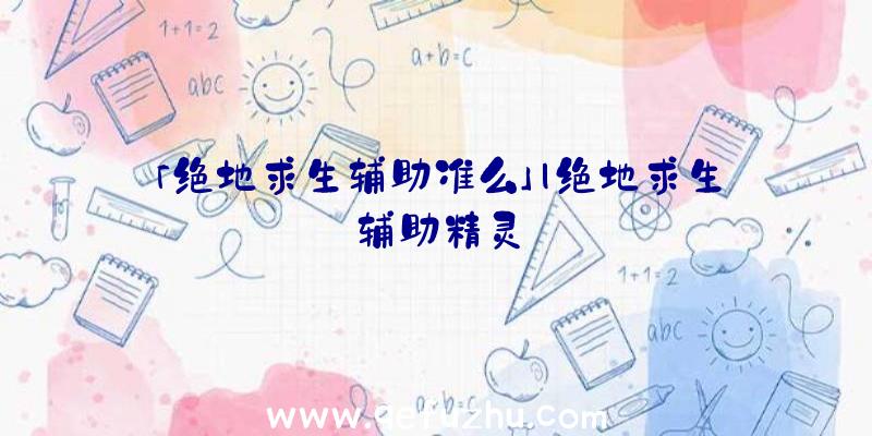 「绝地求生辅助准么」|绝地求生辅助精灵